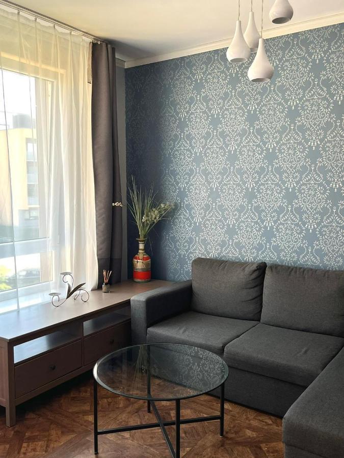 Exclusive Apartment In Vilnius Near Ozas And Technopolis Екстер'єр фото