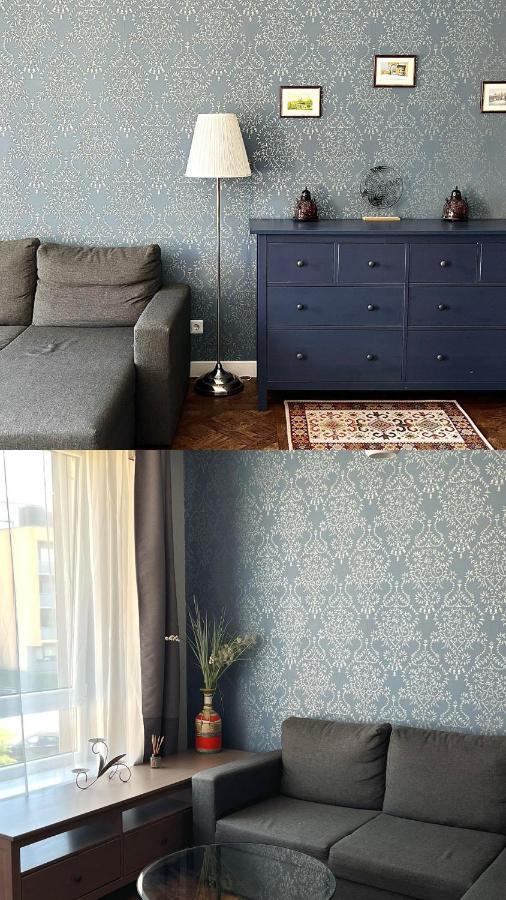 Exclusive Apartment In Vilnius Near Ozas And Technopolis Екстер'єр фото
